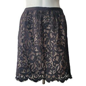 Ann Taylor Loft Womens Sheer Black Lace Pencil Skirt Scalloped Hem Lined Size 2